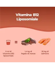 Vitamina B12 Liposomiale - Liquida 250 ml